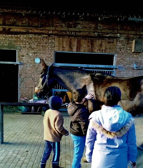 BILD 1 PädagogischeArbeit